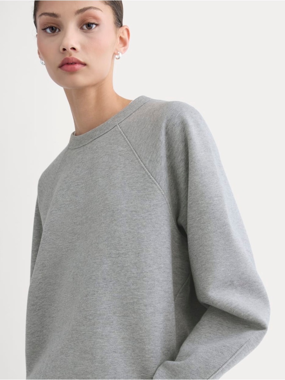 Everlane Gray Crewneck Sweatshirt - Picture 4 of 16